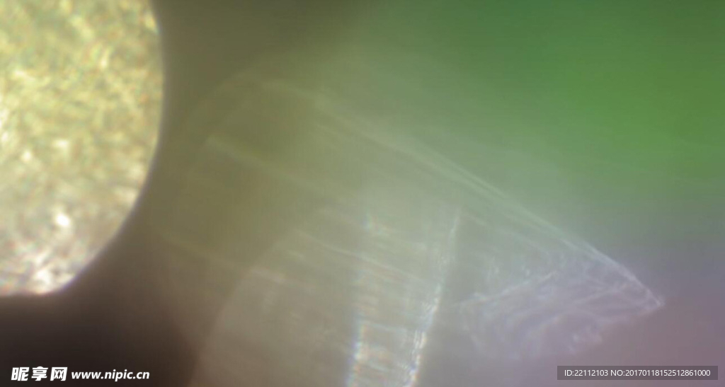 优雅实用镜头漏光装饰素材