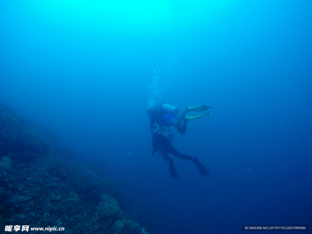 帕劳海底潜水观光