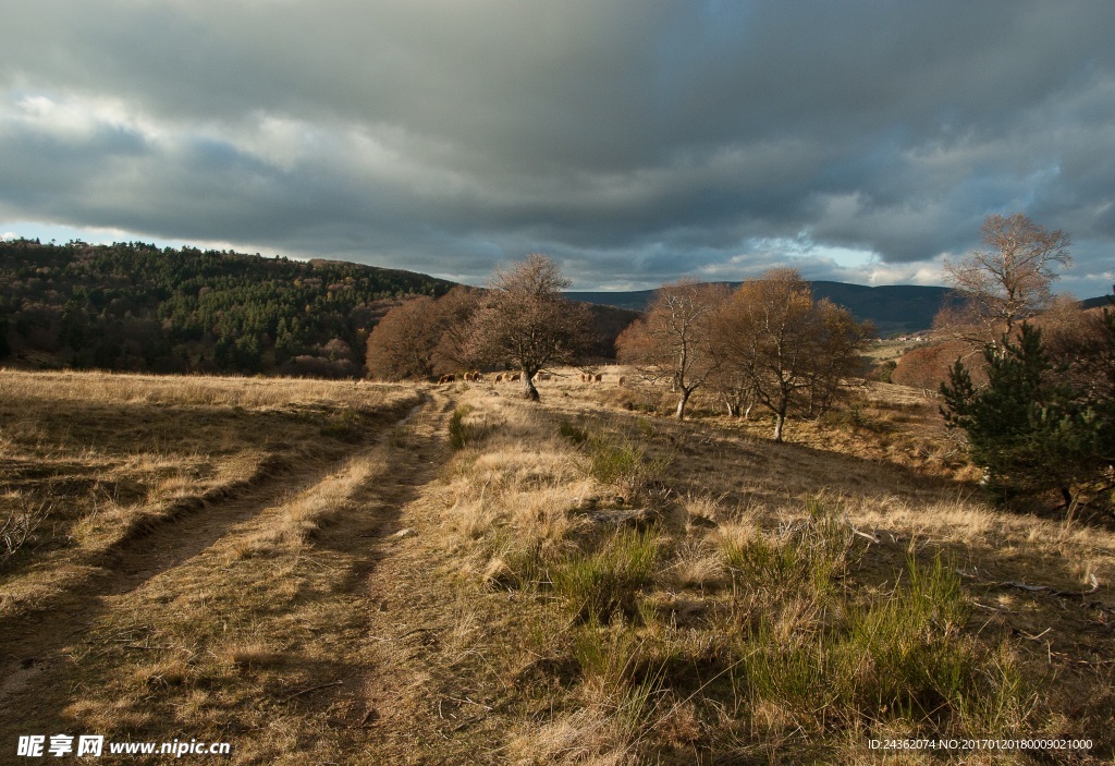 辽阔的自然风景