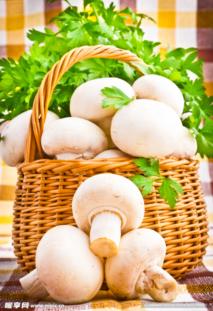 新鲜的香菇图片