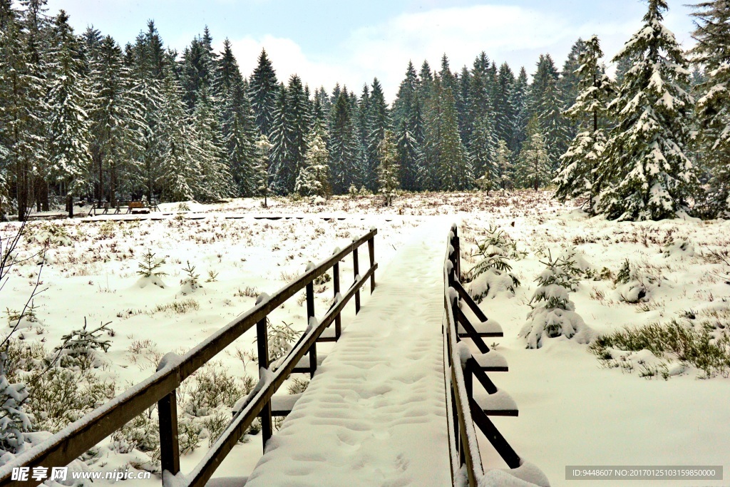 冬季唯美雪景图片