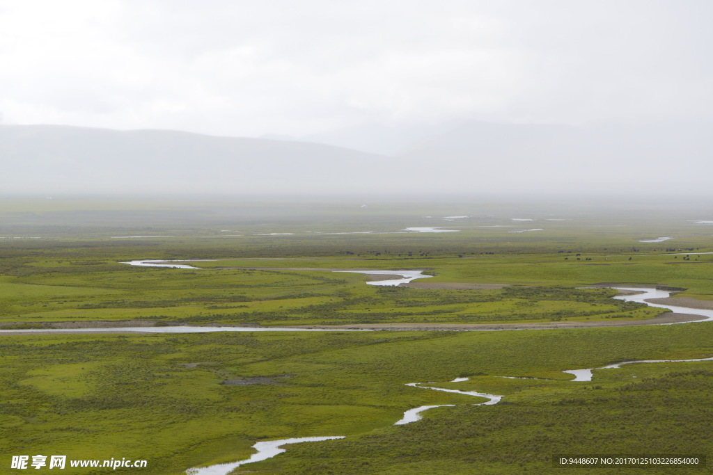 四川理塘草原图片
