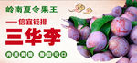 三华李-网页
