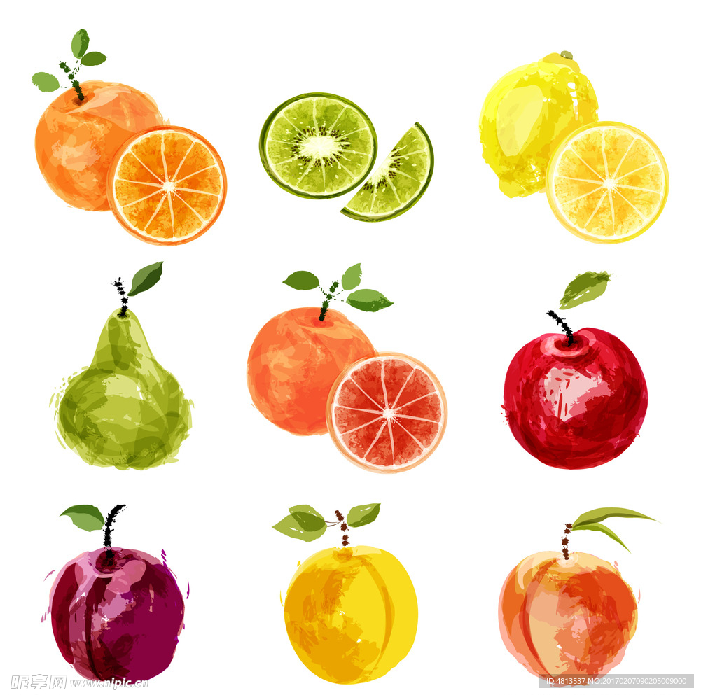 水彩水果