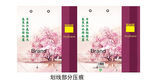 春季手提袋展开图