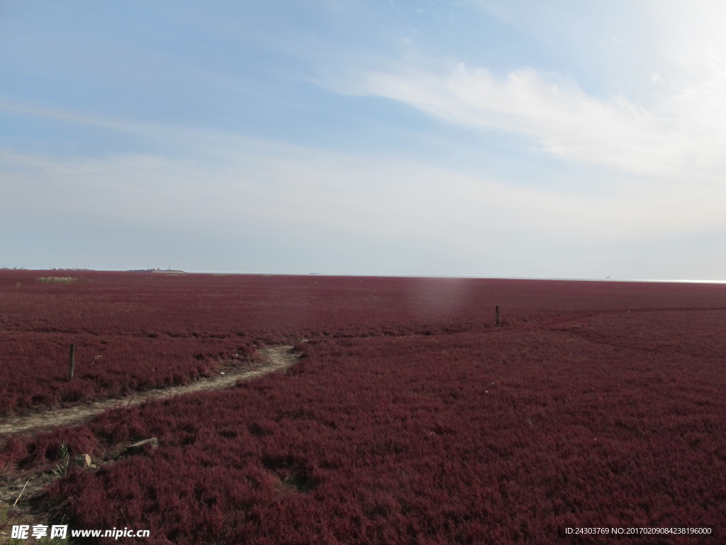 盘锦红海滩