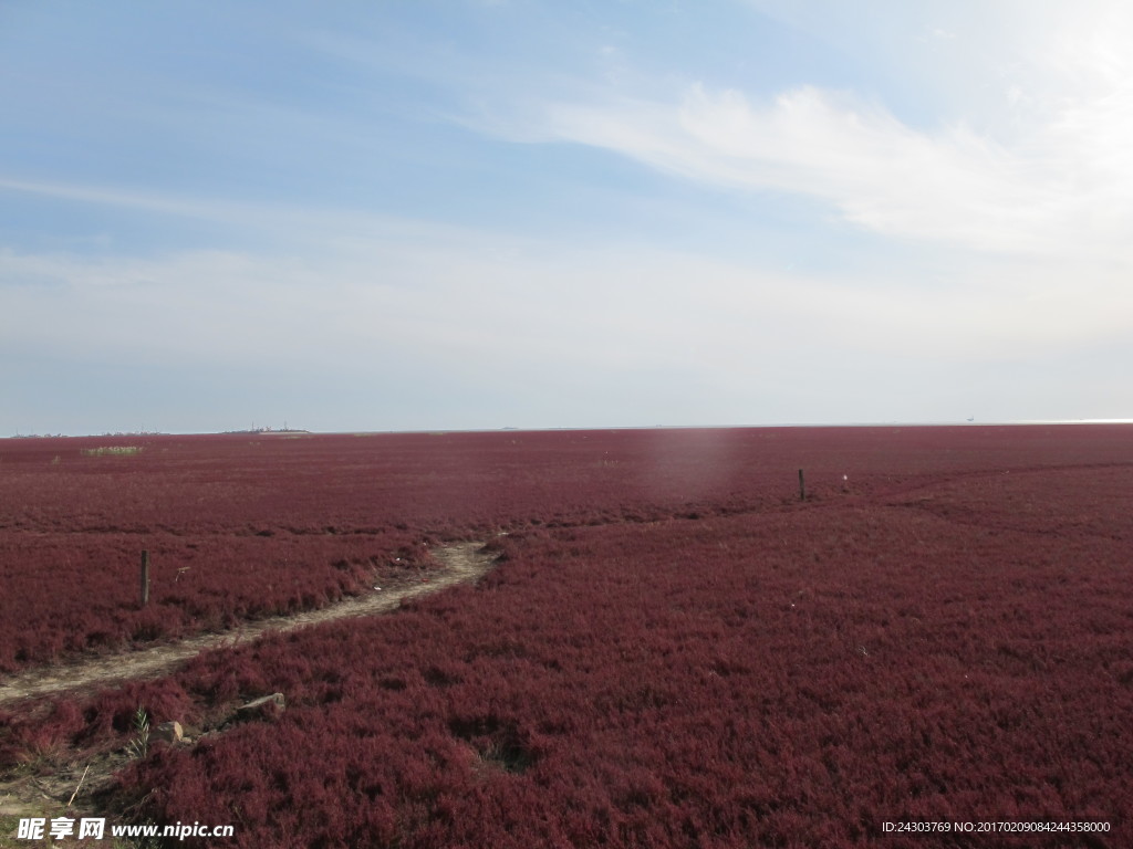 盘锦红海滩