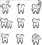 牙齿矢量图