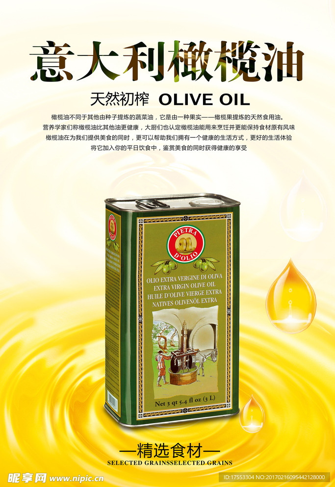 橄榄油海报图片