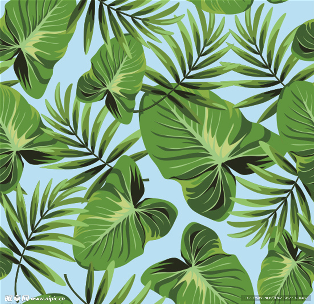 热带雨林植物背景