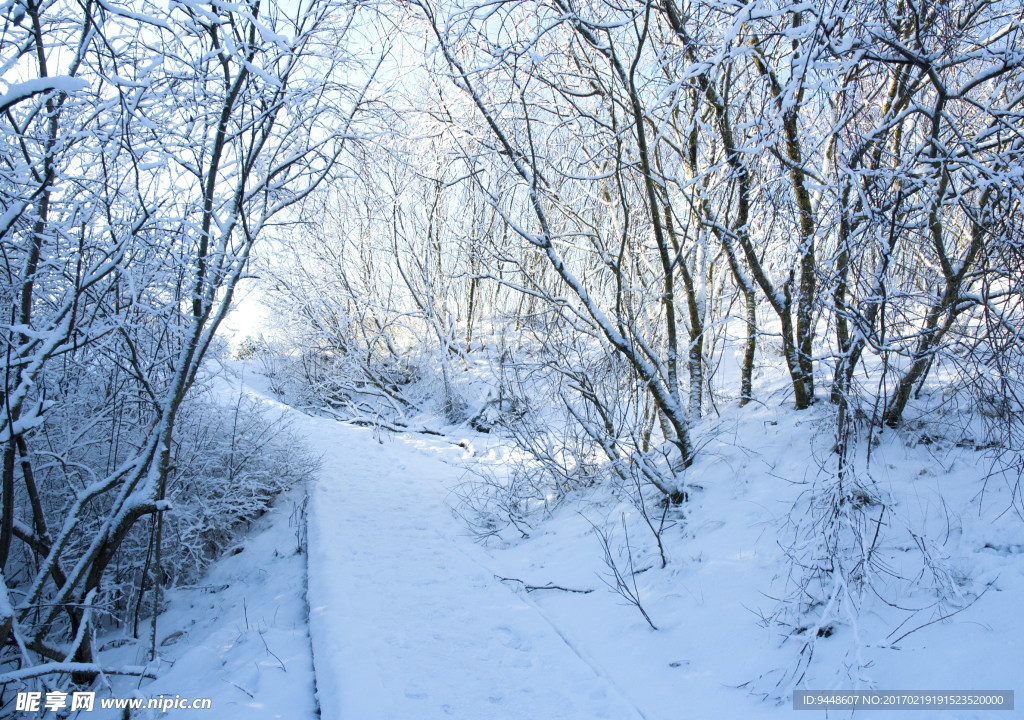 冬日山路雪景图片