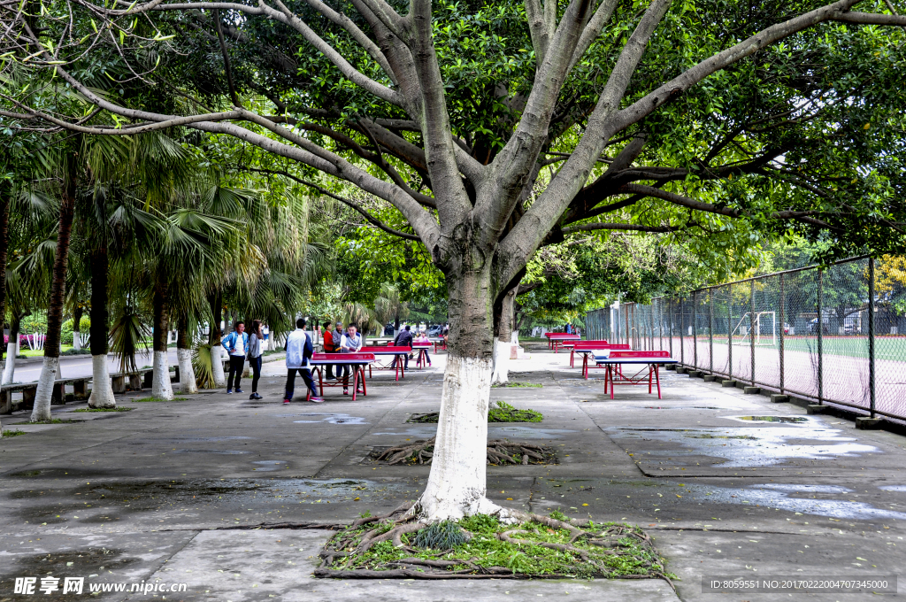 川北医学院校园景色