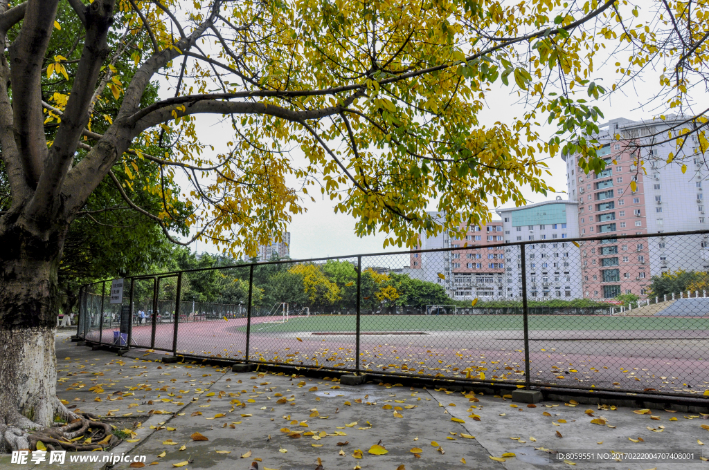 川北医学院校园景色