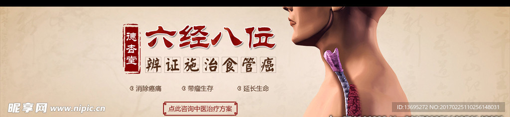 中医banner