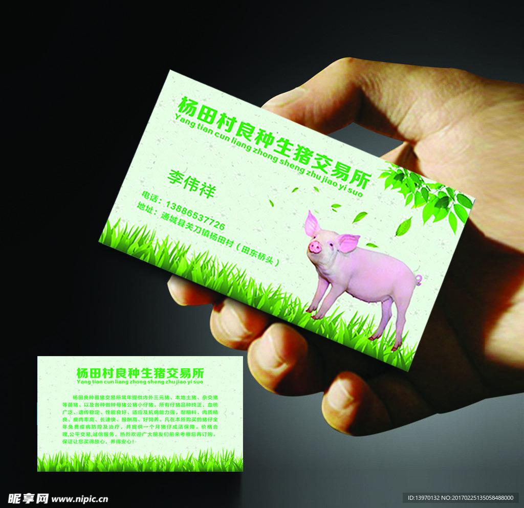 良种生猪交易所