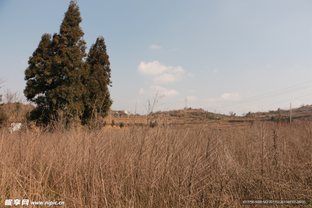 贵州 大方 风光 秋天