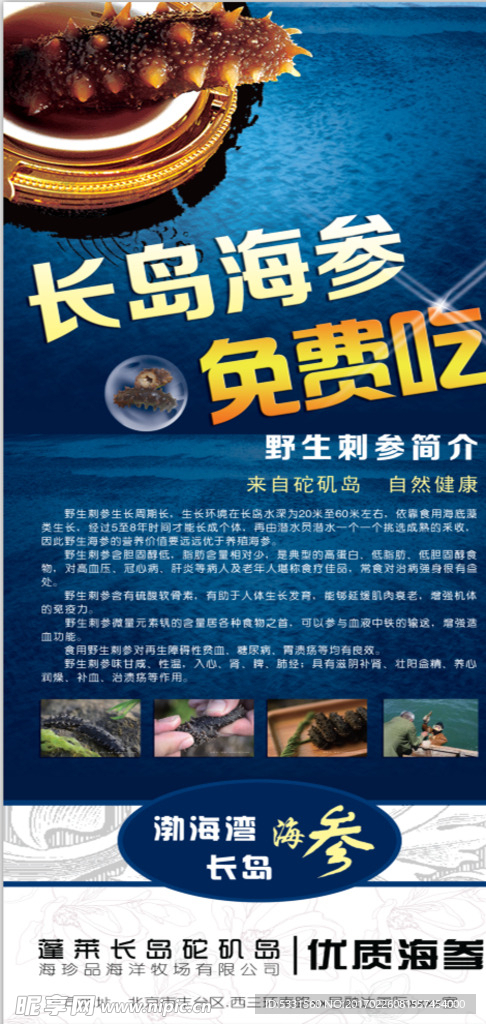 渤海长岛海参海报展架写真
