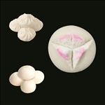 发粿 包子 潮汕美食 潮汕小吃