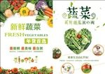 绿色蔬菜传单