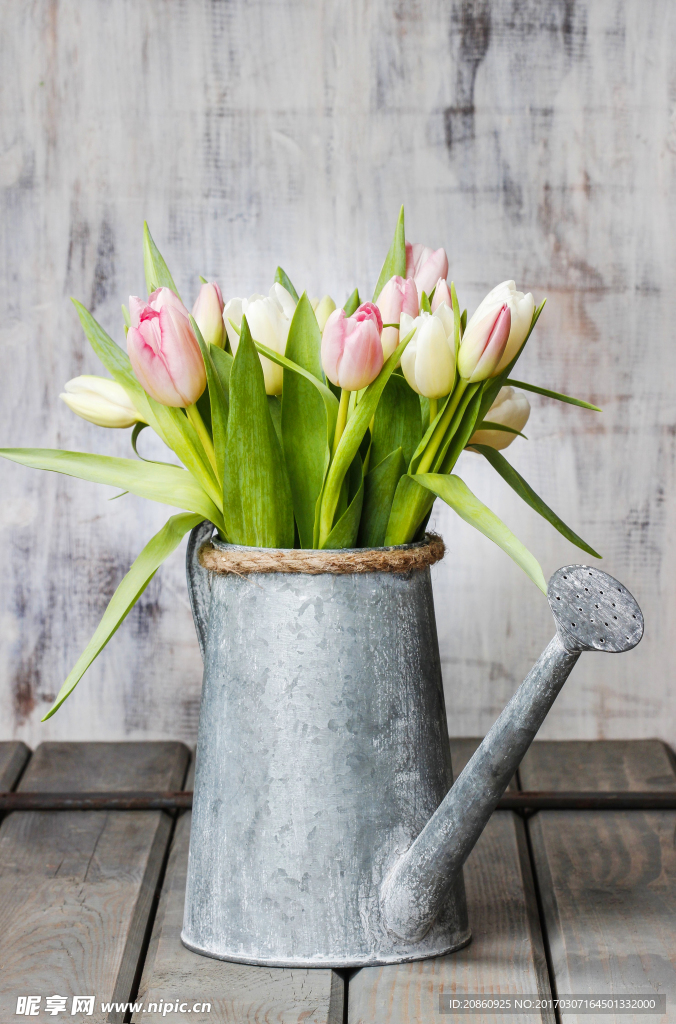 水壶里的鲜花图片