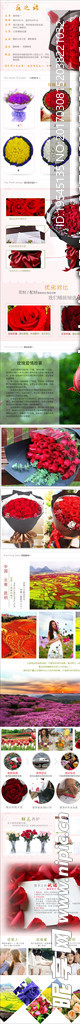 玫瑰花产品详情页