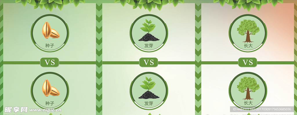 绿色清爽叶子种子发芽长大