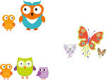 蝴蝶与猫头鹰