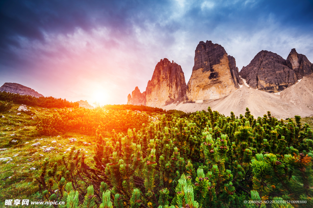 夕阳下的山峰树木图片