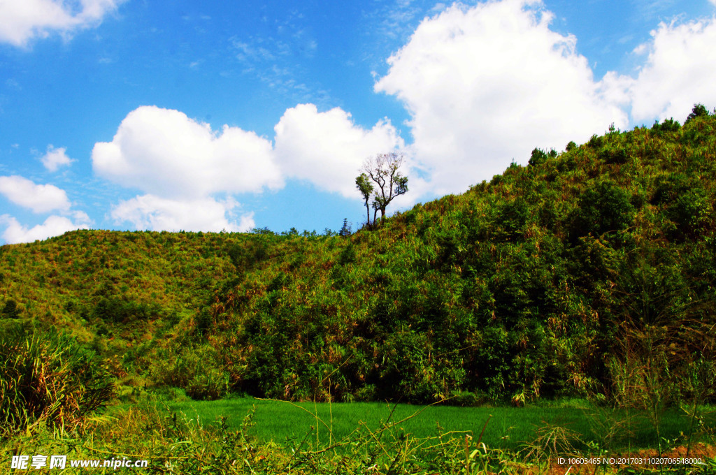 青山蓝天 生态风光