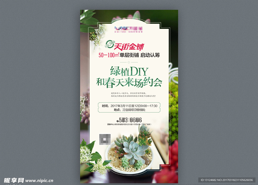 绿植DIY