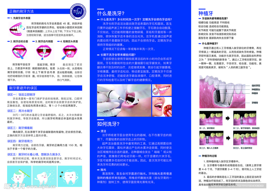 口腔宣传三折页