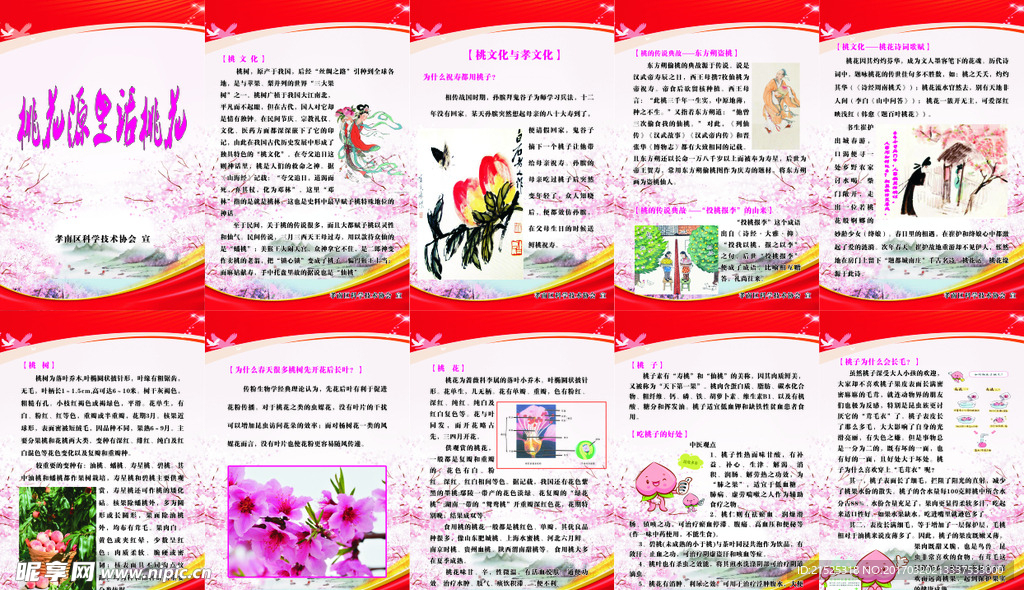 桃文化 科学技术协会