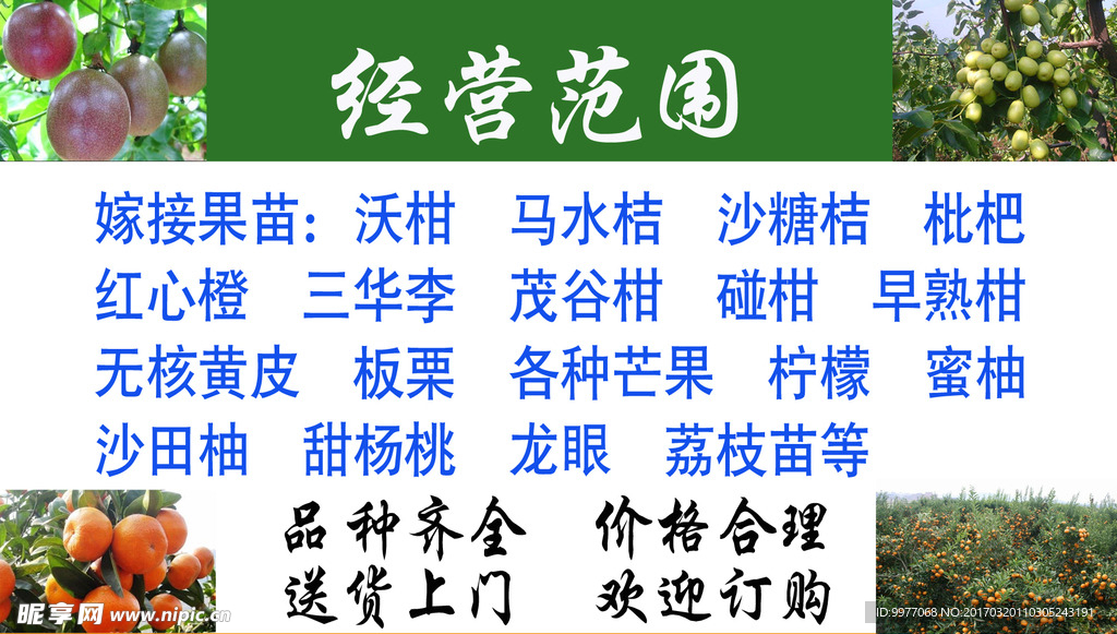 果苗 名片 果场  经营范围