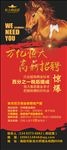 招聘  地产  骏马