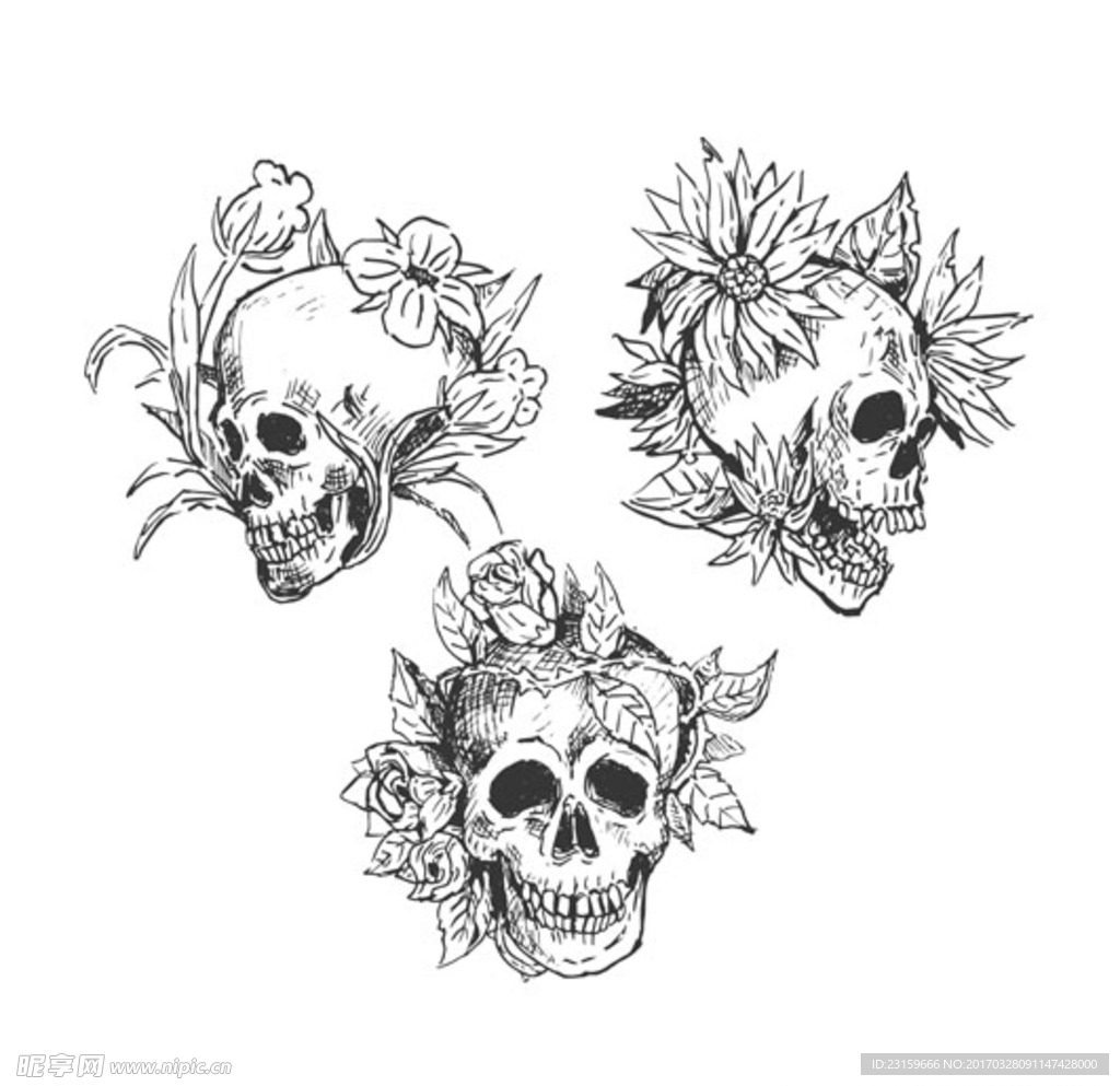 手绘黑白骷髅与鲜花