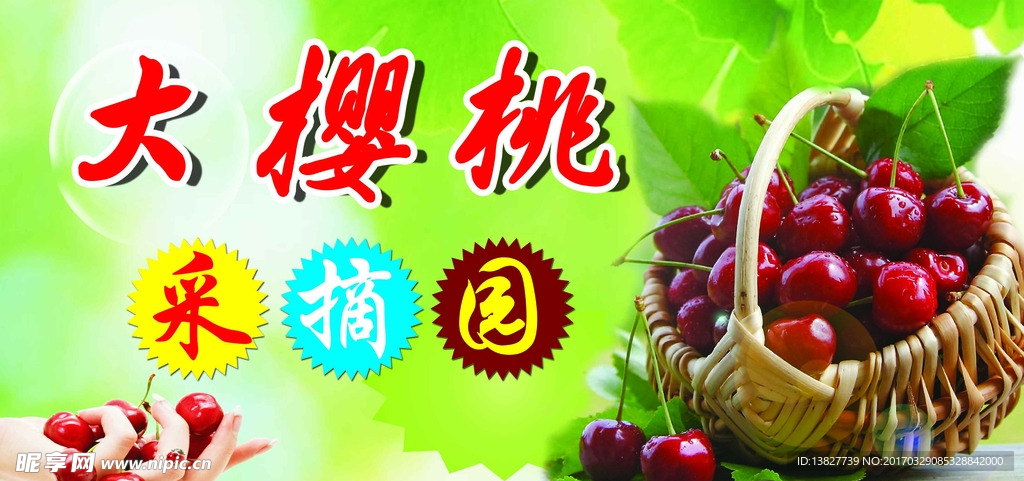 采摘园大樱桃展板