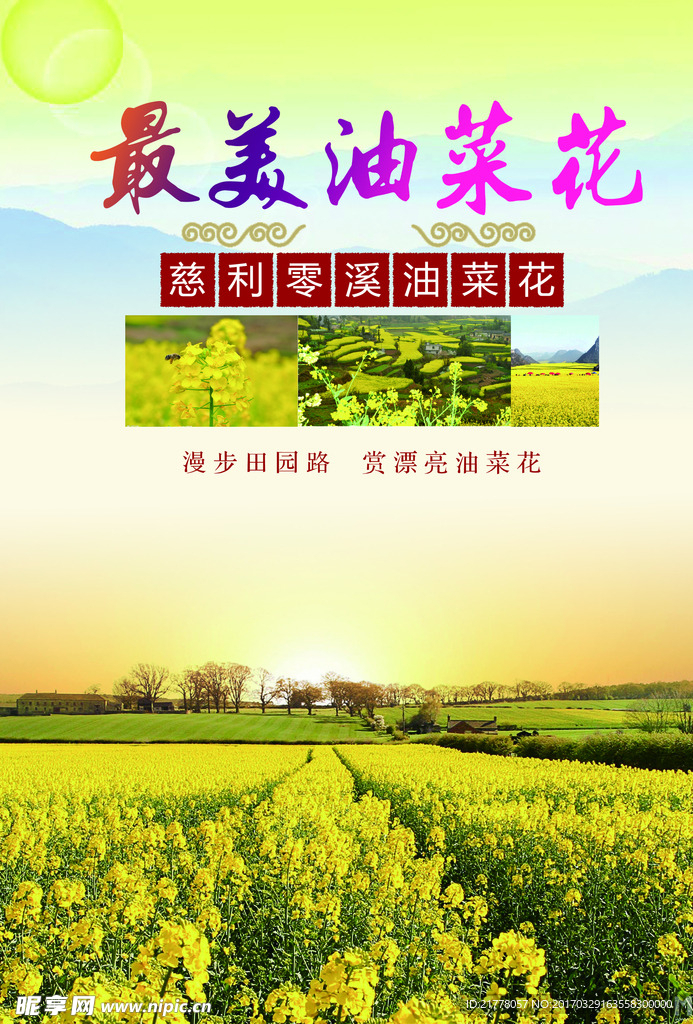 最美油菜花
