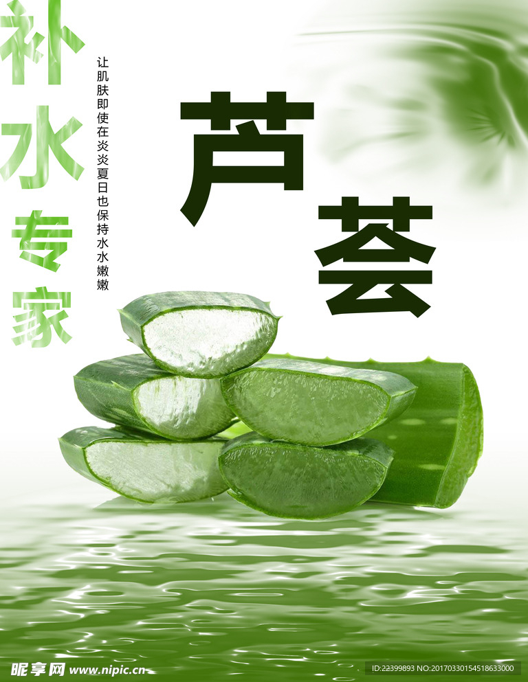 芦荟海报