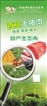 肉店 美食海报