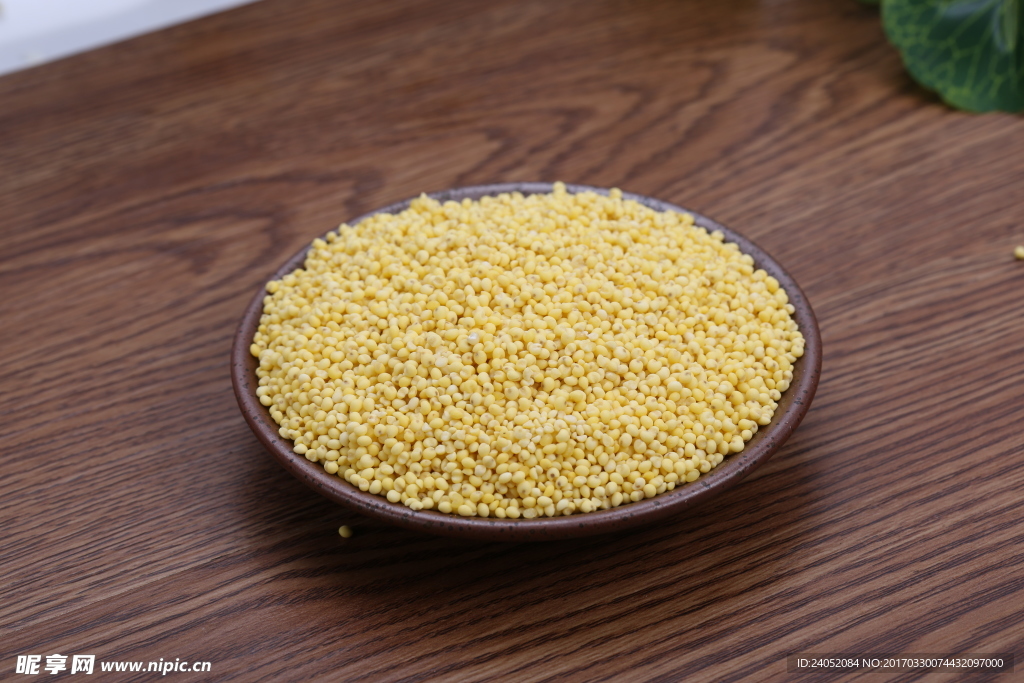 生态大黄米拍摄原图图片