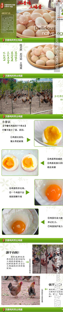 鸡蛋详情页 淘宝详情页
