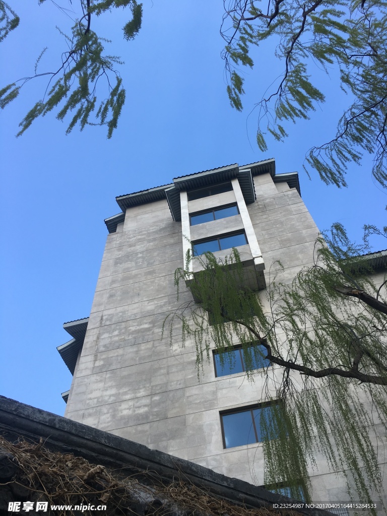 建筑 树枝 春意