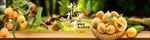 首页banner枇杷水果海报