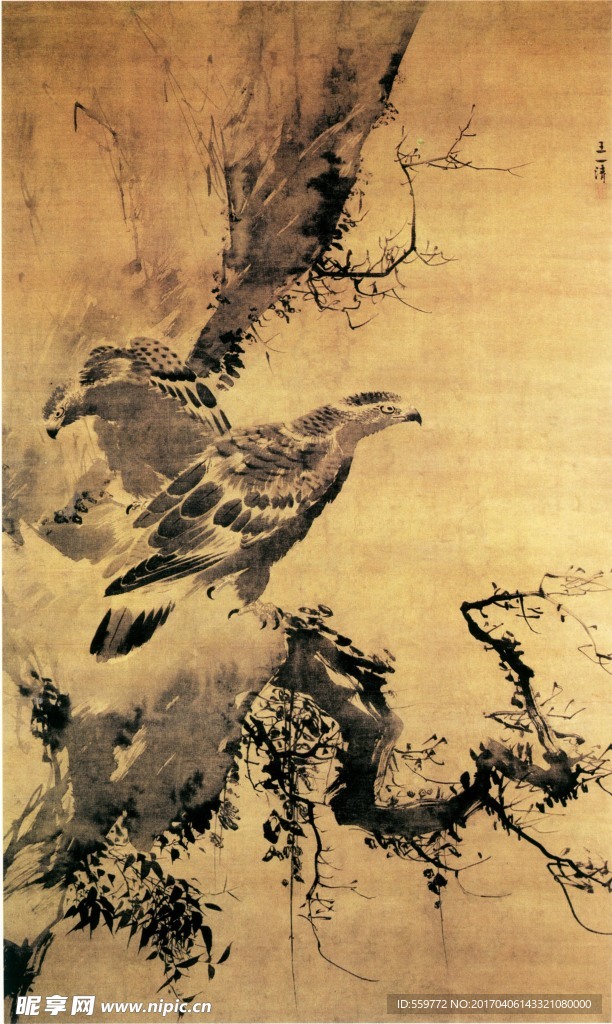国画 雄鹰