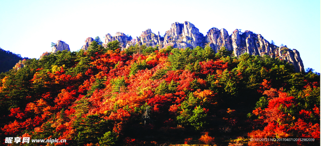 关帝山森林公园梅洞沟