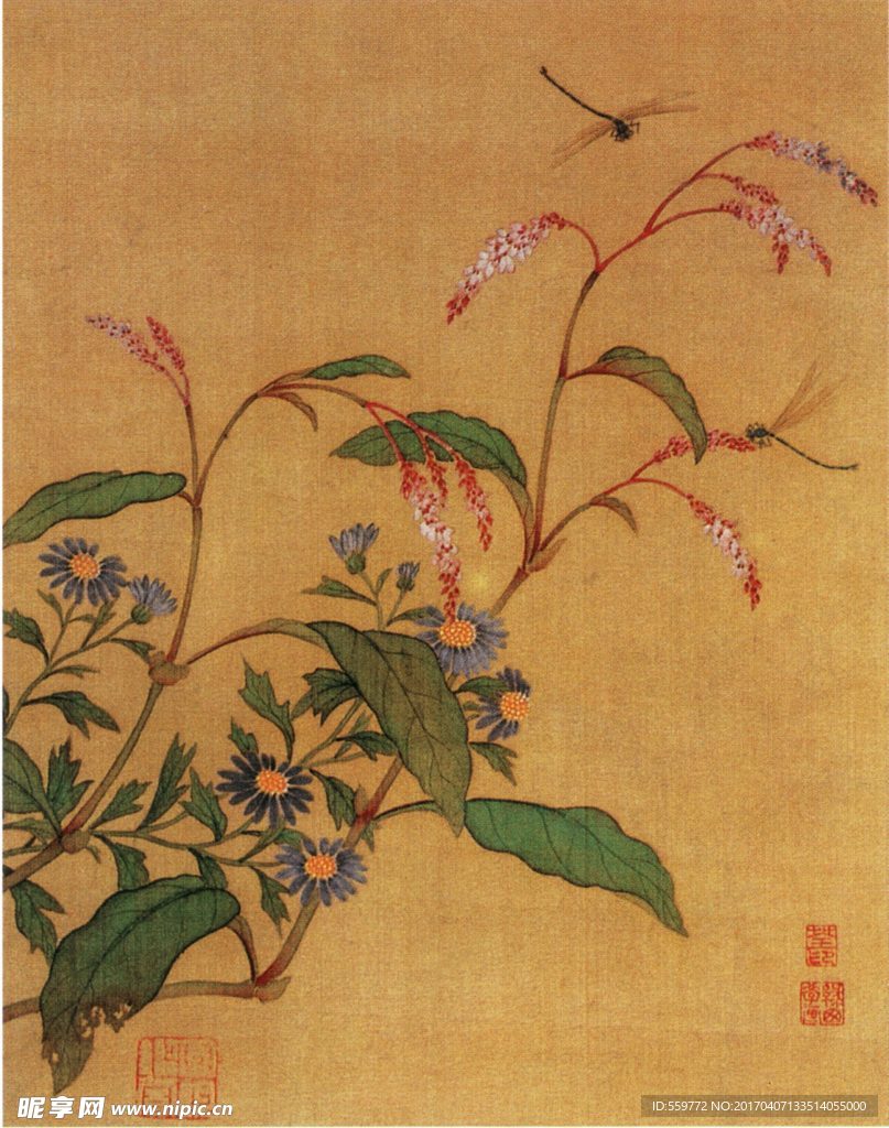 国画 蜻蜓 花