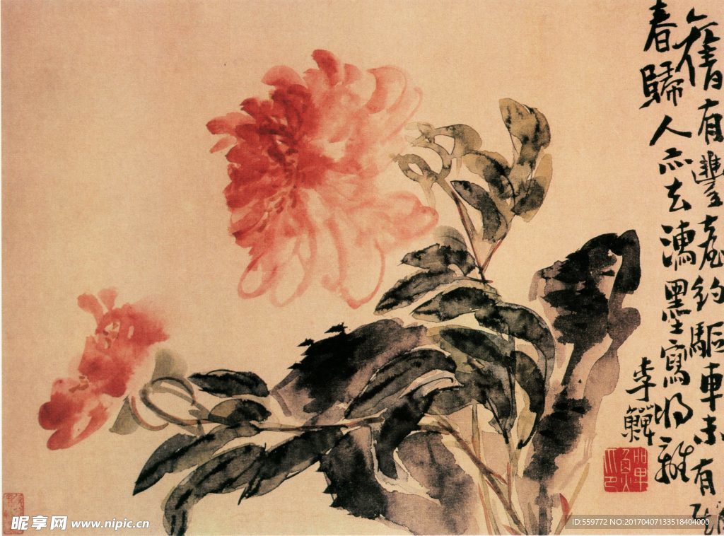 国画 花朵 水墨