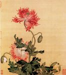 国画 虞美人 写意 工笔