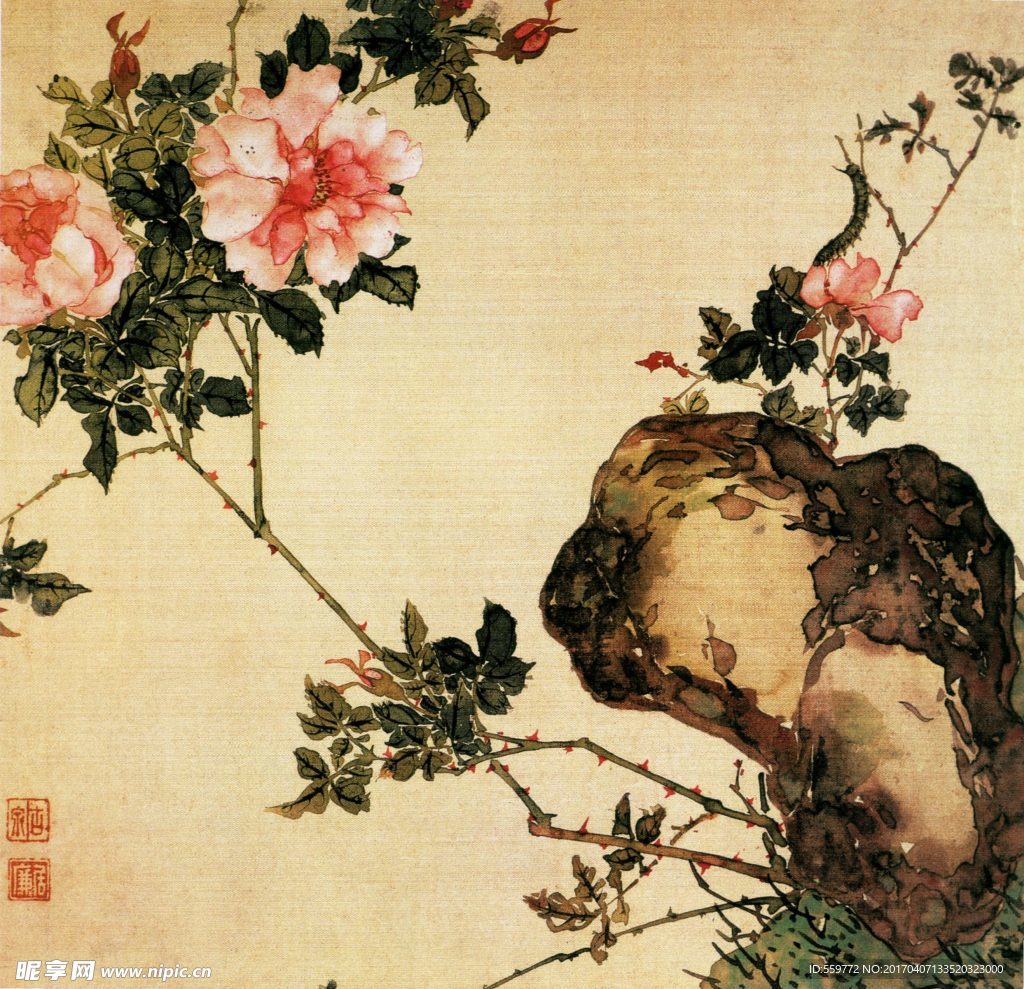 国画 月季 石头
