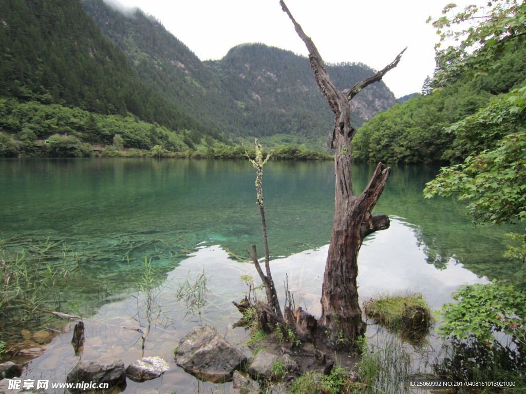 九寨沟旅游图片